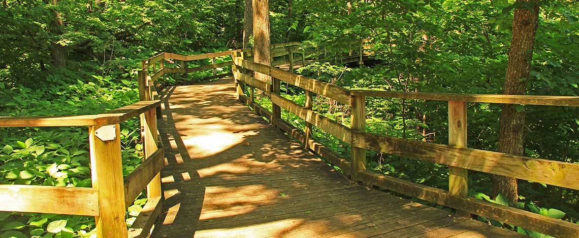 Nebraska Fontenelle Forest