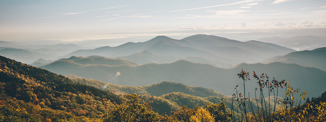 North Carolina landscape