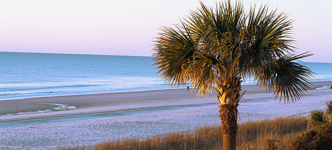 South Carolina landscape