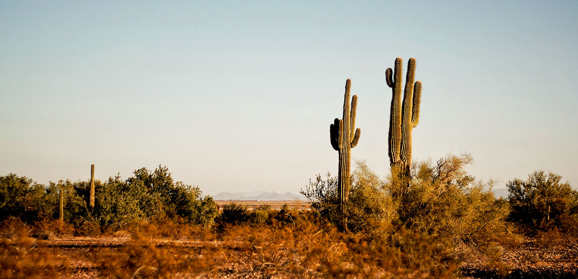 Moving to Texas
